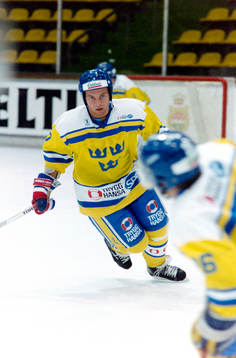 Daniel Rydmark, Sverige