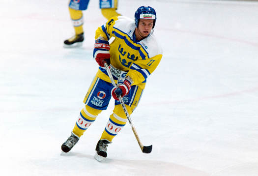 Daniel Rydmark, Sverige
