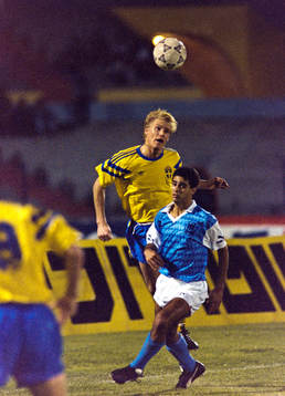 Johan Mjällby, Sverige
