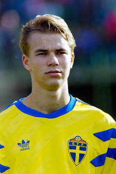 Nicklas Alexandersson, Sverige