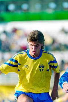 Jonny Rödlund, Sverige