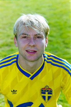 Håkan Mild, Sverige