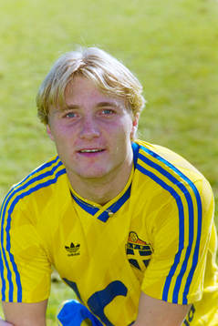 Magnus Johansson, Sverige