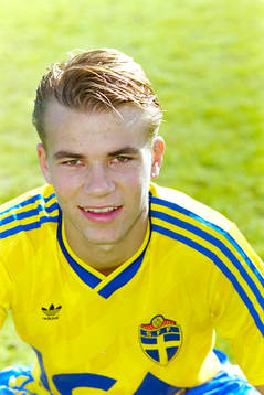 Niclas Alexandersson, Sverige
