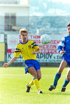 Niklas Alexandersson, Sverige