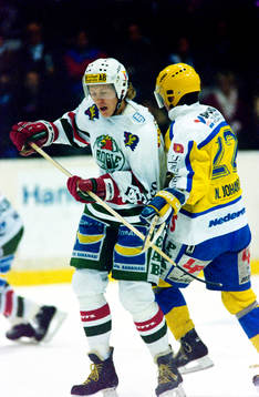 Torgny Löwgren, Rögle och Niklas Johansson, Helsingborg