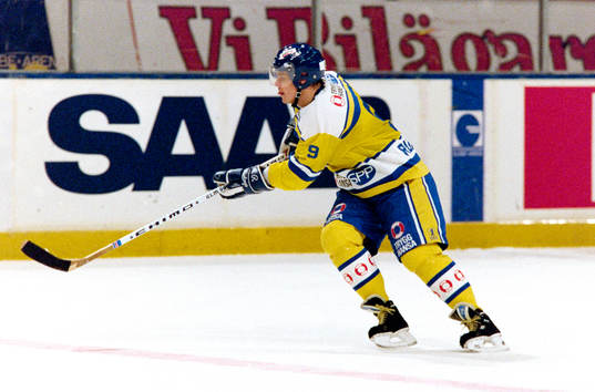 Thomas Rundqvist, Sverige