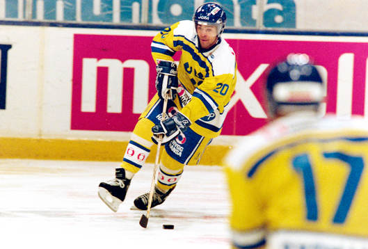 Patrik Erickson, Sverige