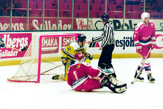 Charles Berglund, Sverige