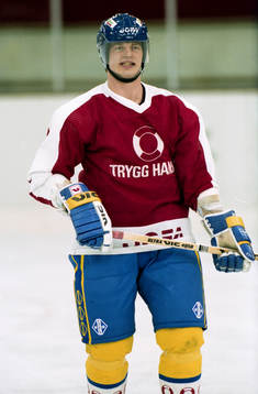 Bengt-Åke Gustafsson