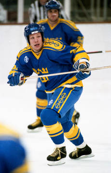 Charles Berglund, Sverige