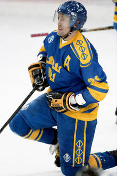 Börje Salming, Sverige
