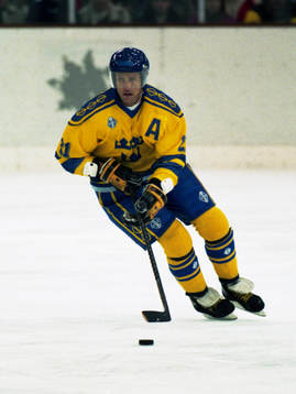 Börje Salming, Sverige
