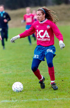 Henrik Larsson, Helsingborg