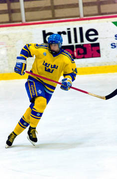 Mikael Håkansson, Sverige