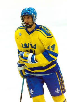 Mikael Håkansson, Sverige