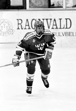 Jesper Mattsson, Sverige