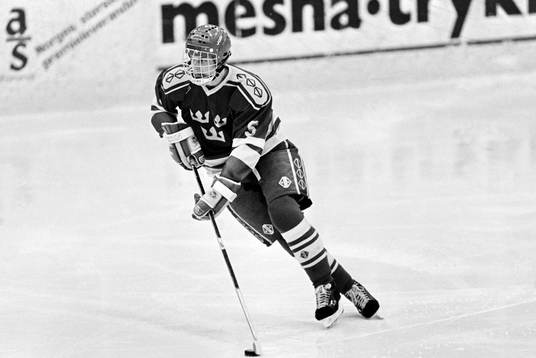 Mattias Timander, Sverige