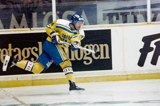 Roger Hansson, Sverige