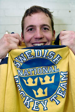 Roger Hansson, Sverige