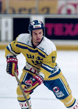 Daniel Rydmark, Sverige