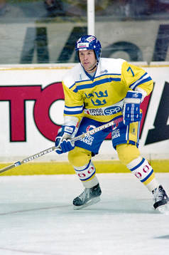 Tommy Sjödin, Sverige
