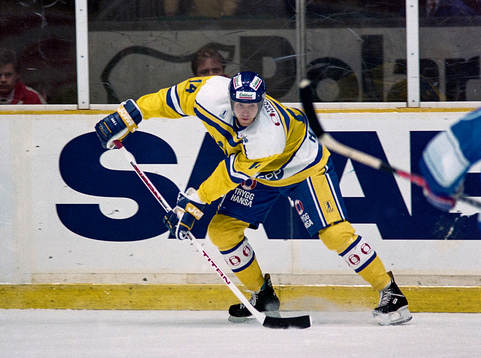 Roger Hansson, Sverige