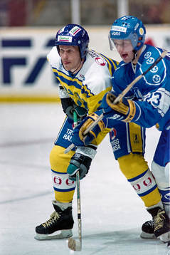 Johan Garpenlöv, Sverige