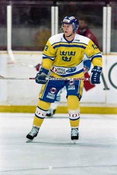 Mats Sundin, Sverige