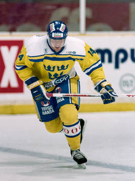 Roger Hansson, Sverige
