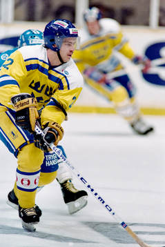 Petri Liimatainen, Sverige