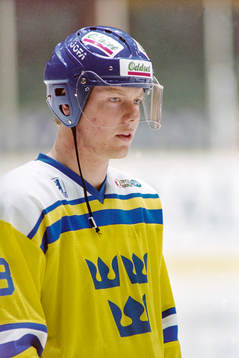Mats Sundin, Sverige