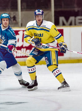 Roger Hansson, Sverige