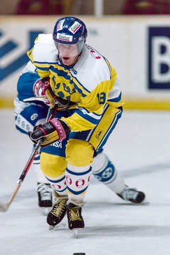 Jan Larsson, Sverige