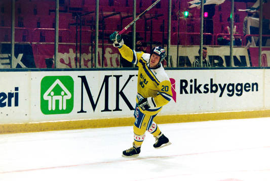 Johan Garpenlöv, Sverige jublar