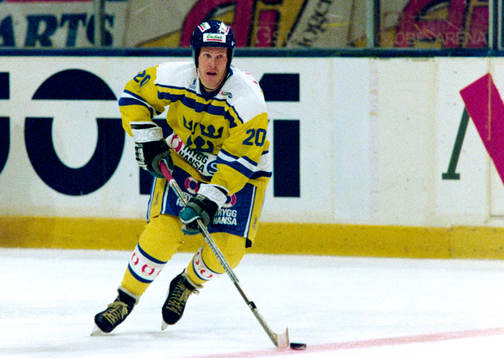 Johan Garpenlöv, Sverige