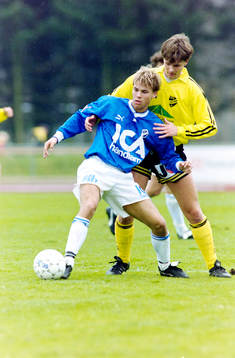 Nicklas Alexandersson, Halmstad