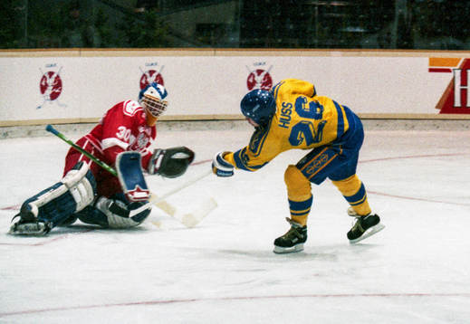 Anders Huss, Sverige