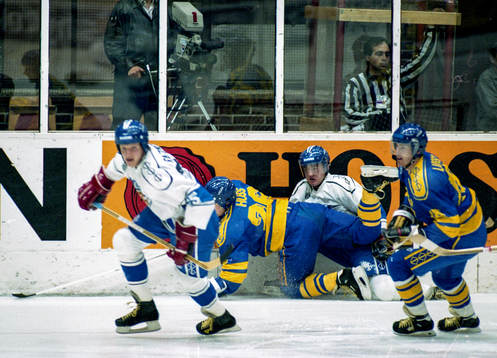 Anders Huss, Sverige