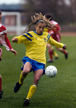 Henrik Larsson, Sverige