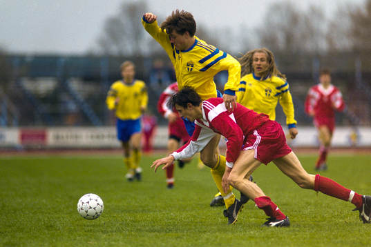 Stefan Paldan, Sverige