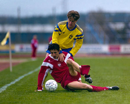Stefan Paldan, Sverige