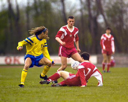 Henrik Larsson, Sverige