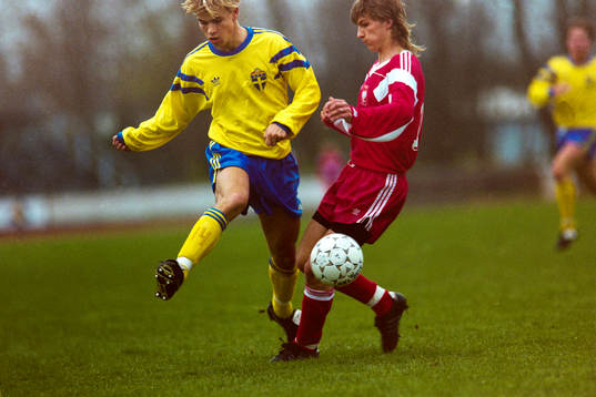 Niclas Alexandersson, Sverige