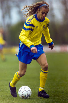 Henrik Larsson, Sverige