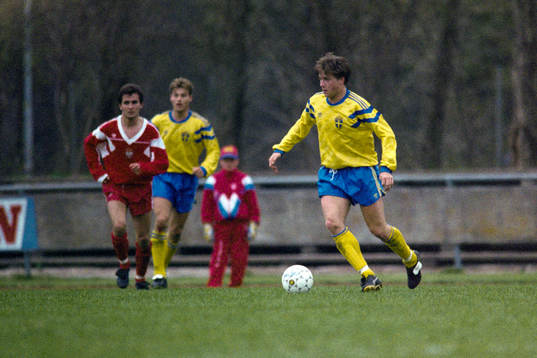 Stefan Paldan, Sverige