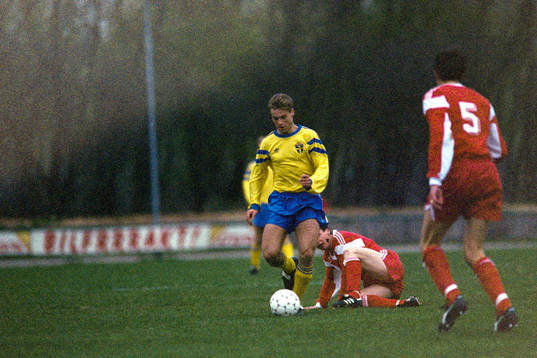 Niclas Alexandersson, Sverige