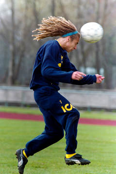 Henrik Larsson, Sverige