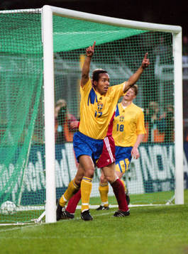 Martin Dahlin, Sverige, jubel