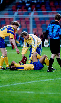 Martin Dahlin, Sverige